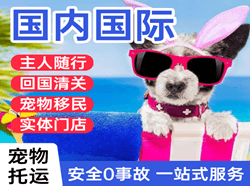 嘎洒空运地址国际宠物托运 【国